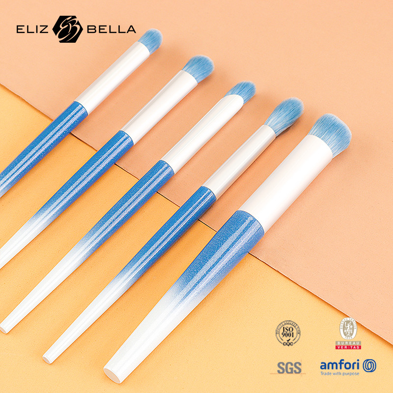 10pcs Synthetic Hair Plastic Handle Makeup Brush Set ,Luxury Personalized Make Up Brush Set ,OEM Orders Are Welcome